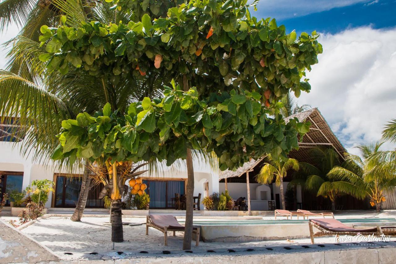 Uroa Zanzibar Vera Beach Hotel By Moonshine Dikoni Exterior photo