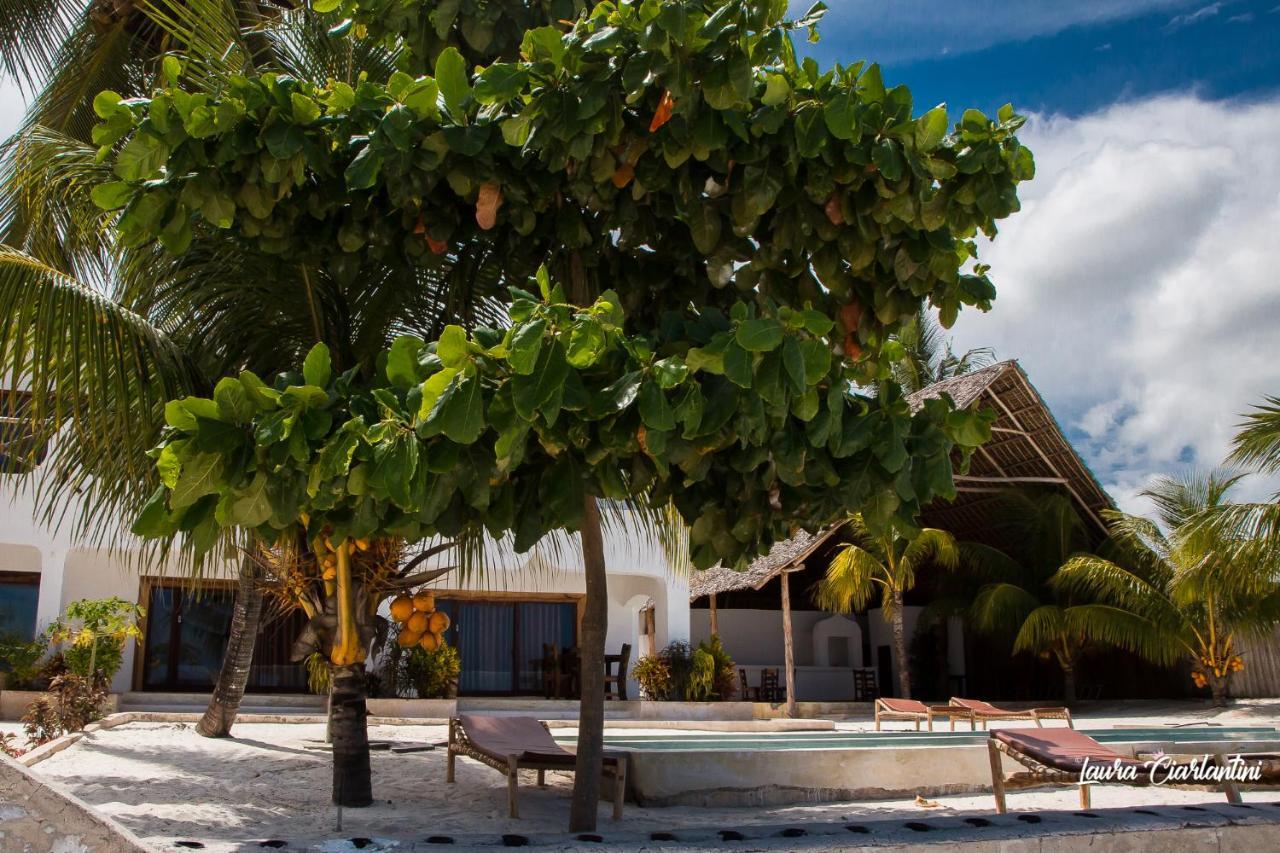 Uroa Zanzibar Vera Beach Hotel By Moonshine Dikoni Exterior photo
